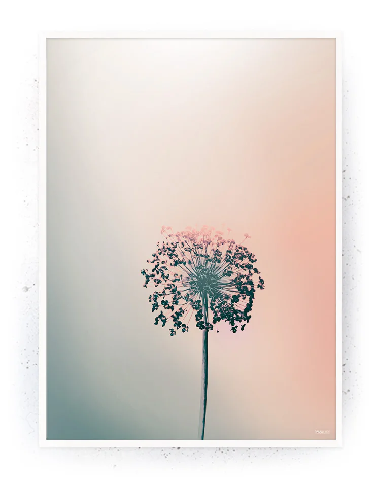 Plakat / lærredsprint - Smukke feminine plakater