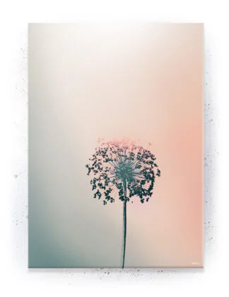 Plakat / lærredsprint - Smukke feminine plakater