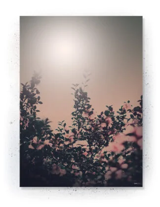 Plakat / lærredsprint - Smukke naturlige plakater