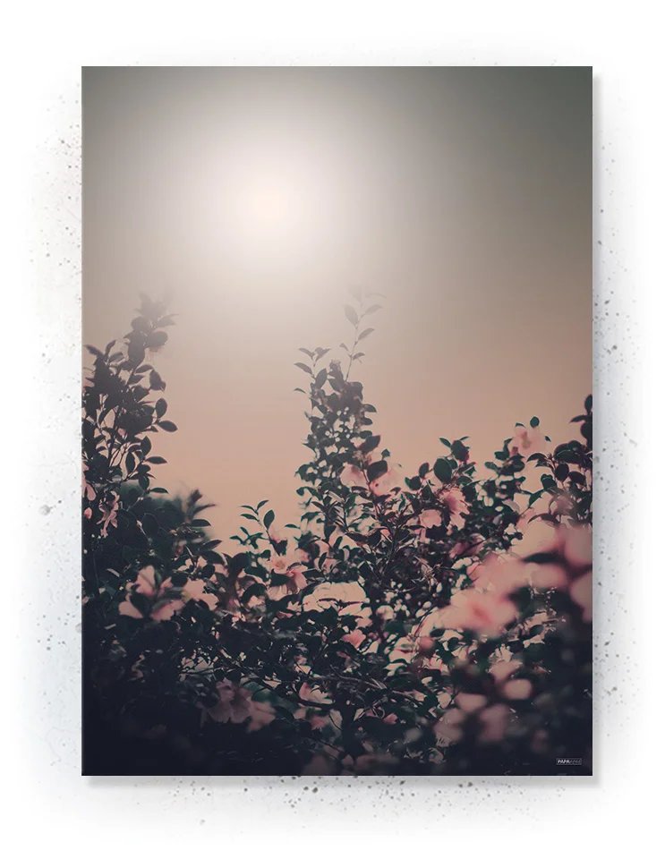 Plakat / lærredsprint - Smukke naturlige plakater