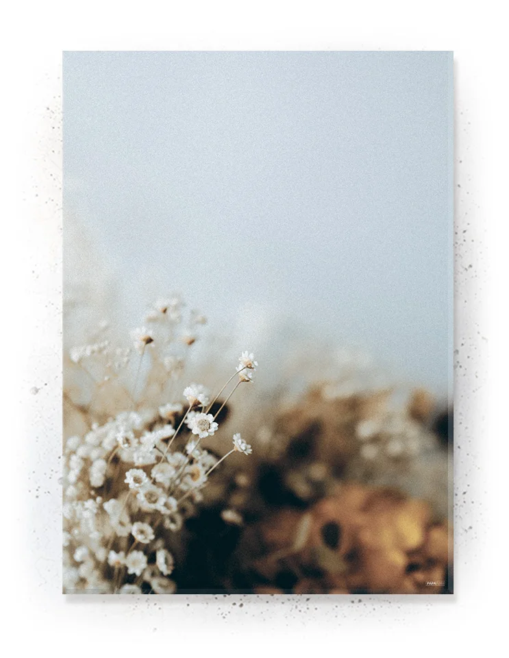 Plakat / lærredsprint - Smukke naturlige plakater