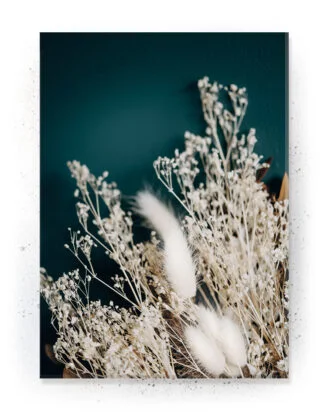 Plakat / lærredsprint - Smukke naturlige plakater