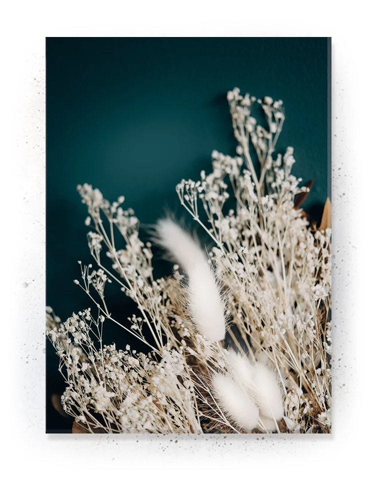 Plakat / lærredsprint - Smukke naturlige plakater