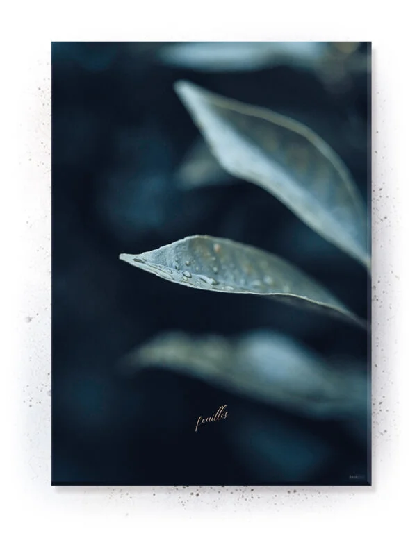 Plakat / lærredsprint - Smukke nordiske plakater