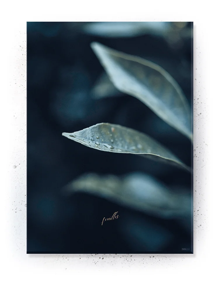 Plakat / lærredsprint - Smukke nordiske plakater