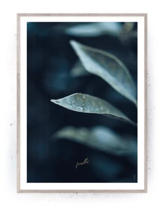 Plakat / lærredsprint - Smukke nordiske plakater