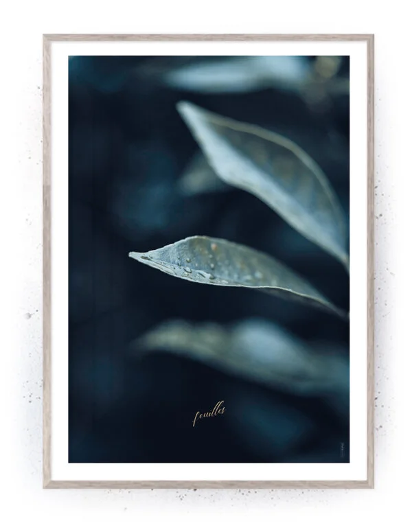 Plakat / lærredsprint - Smukke nordiske plakater