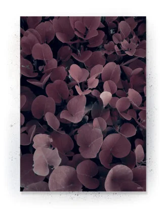 Plakat / lærredsprint - Smukke naturlige plakater