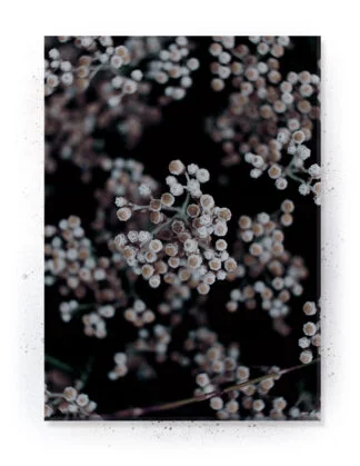 Plakat / lærredsprint - Smukke naturlige plakater