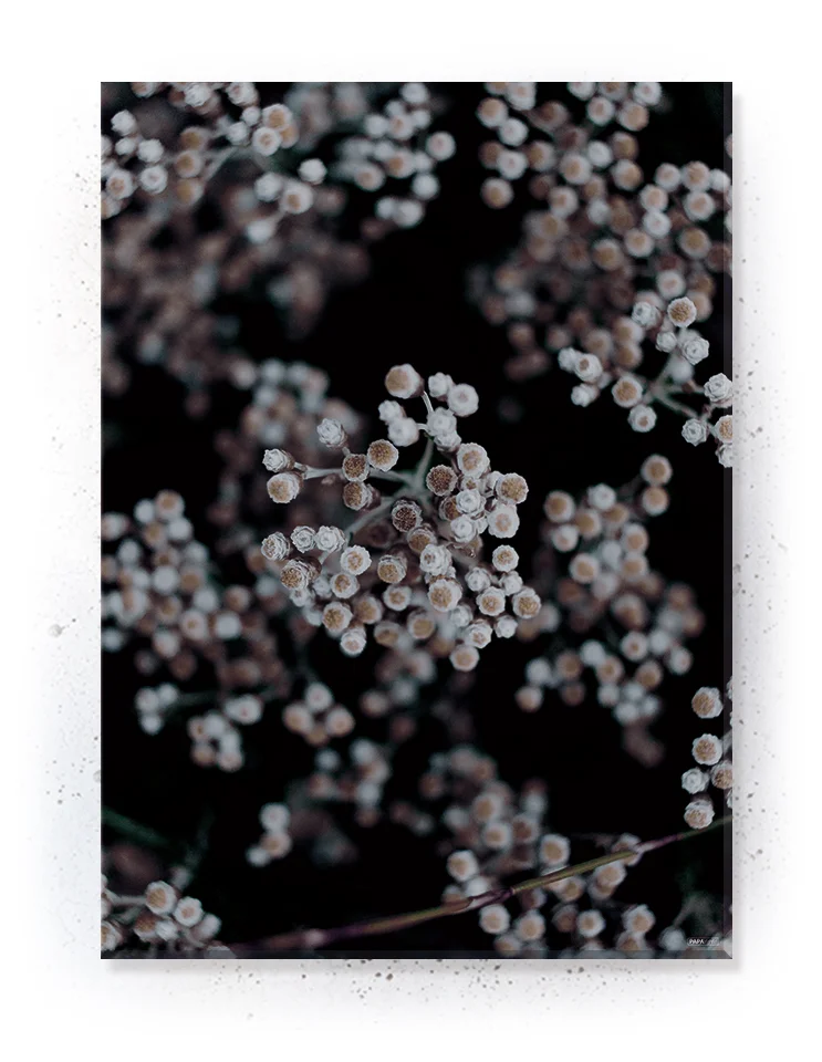 Plakat / lærredsprint - Smukke naturlige plakater