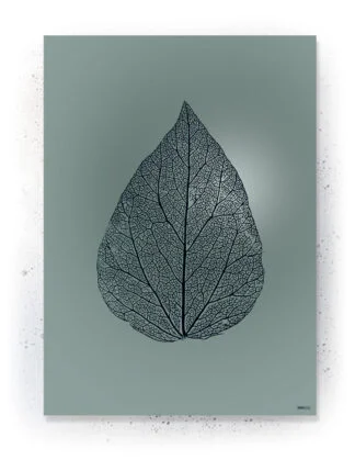 Plakat / lærredsprint - Smukke naturlige plakater