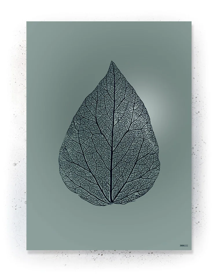 Plakat / lærredsprint - Smukke naturlige plakater