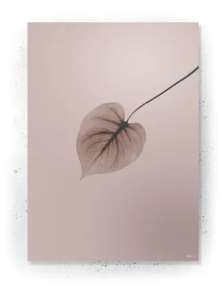 Plakat / lærredsprint - Smukke naturlige plakater