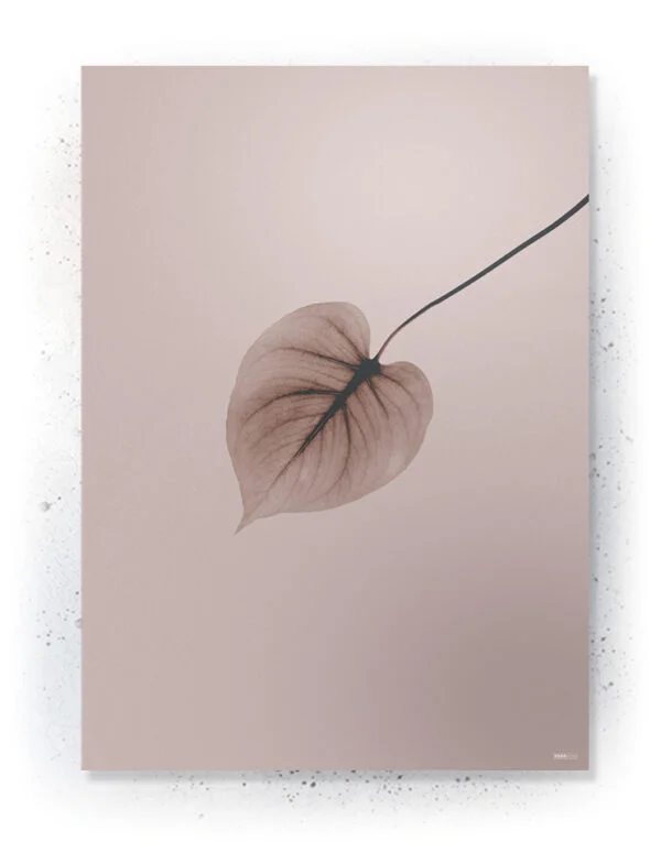 Plakat / lærredsprint - Smukke naturlige plakater