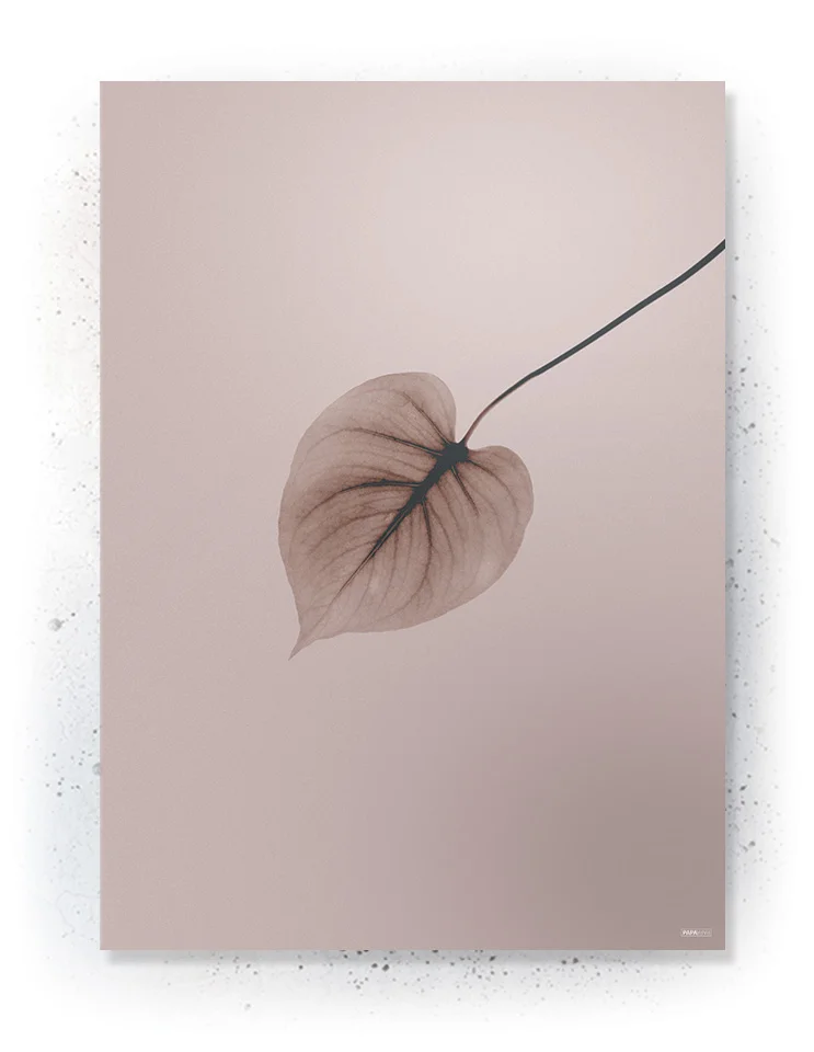 Plakat / lærredsprint - Smukke naturlige plakater