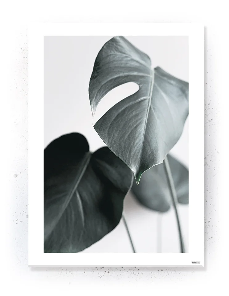 Plakat / lærredsprint - Smukke naturlige plakater