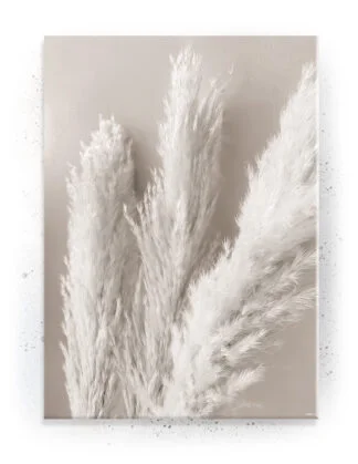 Plakat / lærredsprint - Smukke naturlige plakater