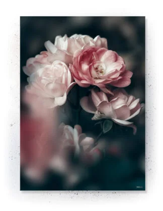 Plakat / lærredsprint - Smukke naturlige plakater