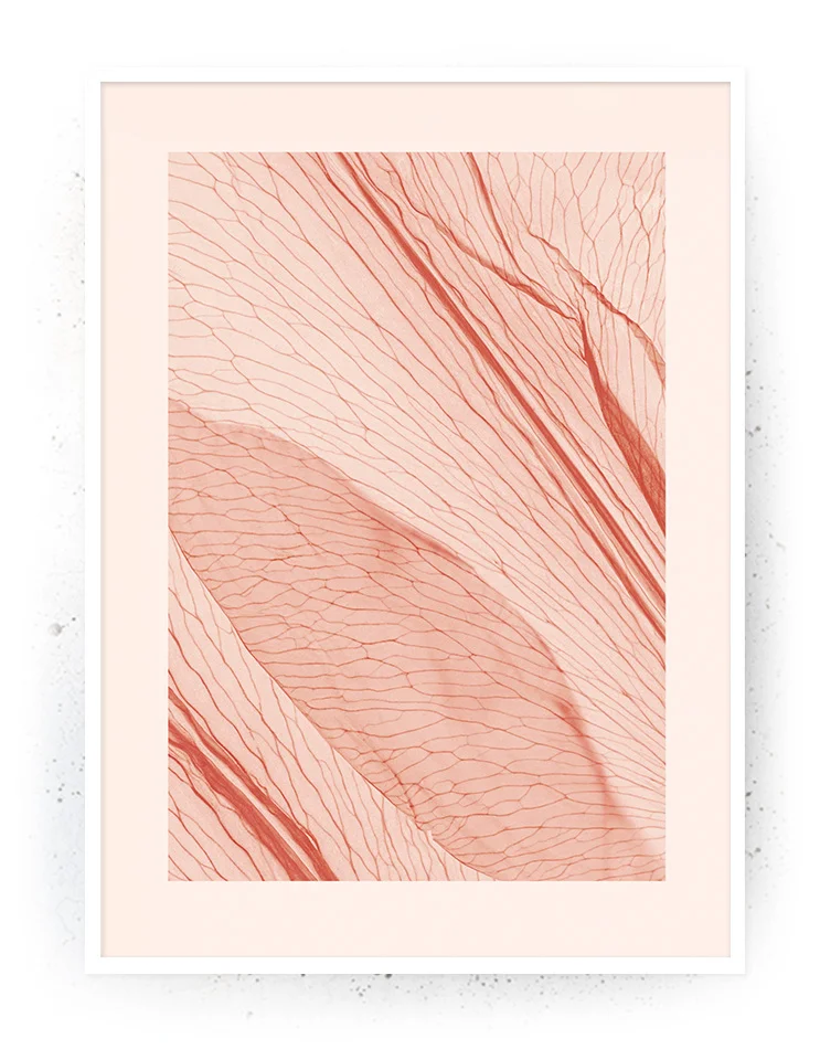 Plakat / lærredsprint - Smukke naturlige plakater