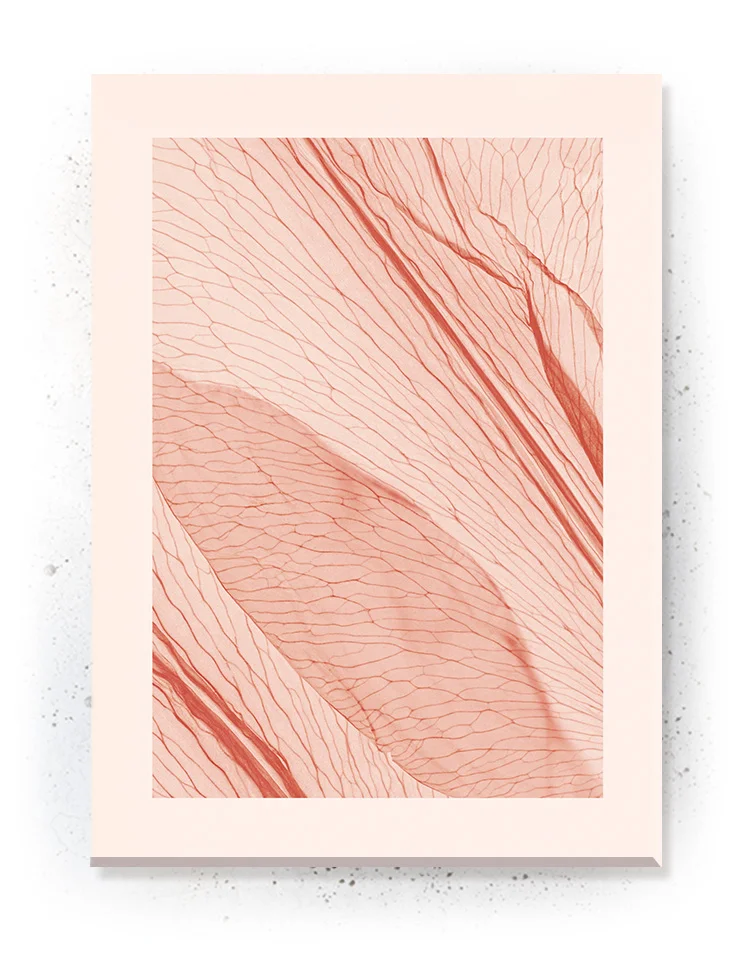 Plakat / lærredsprint - Smukke naturlige plakater