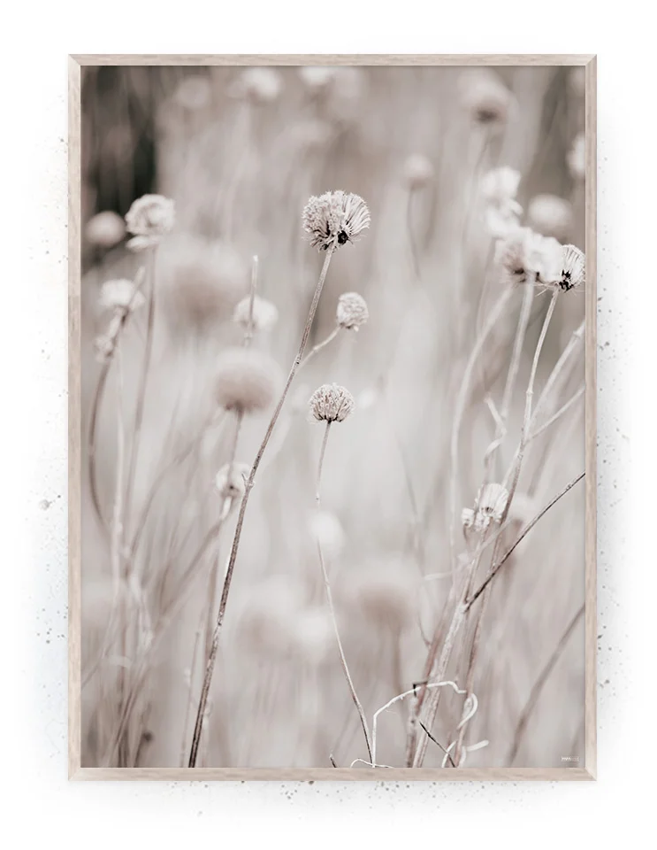 Plakat / lærredsprint - Smukke feminine plakater