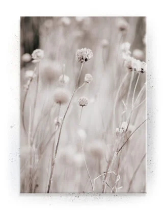 Plakat / lærredsprint - Smukke feminine plakater