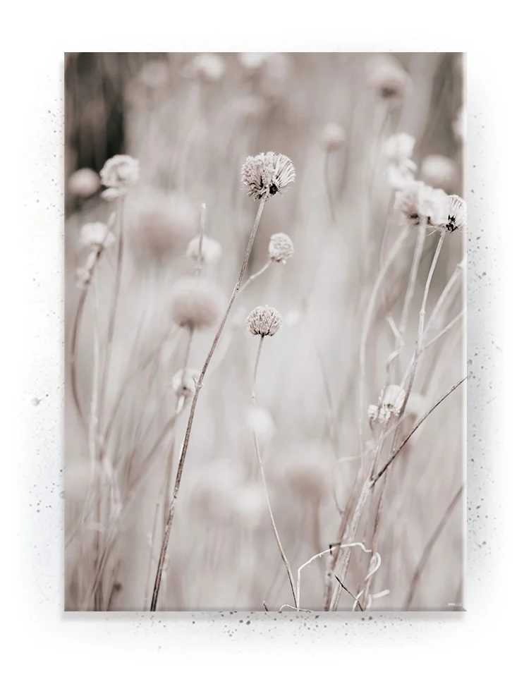 Plakat / lærredsprint - Smukke feminine plakater