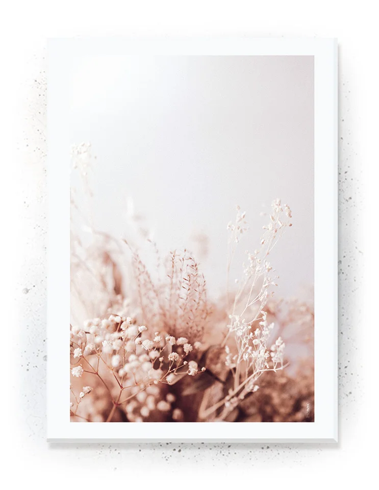 Plakat / lærredsprint - Smukke naturlige plakater