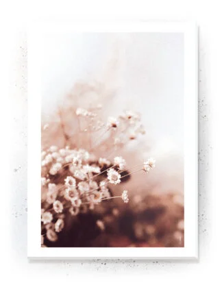 Plakat / lærredsprint - Smukke naturlige plakater