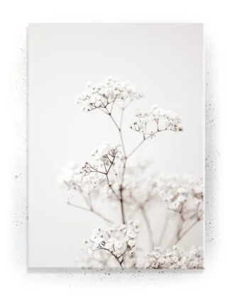 Plakat / lærredsprint - Smukke naturlige plakater