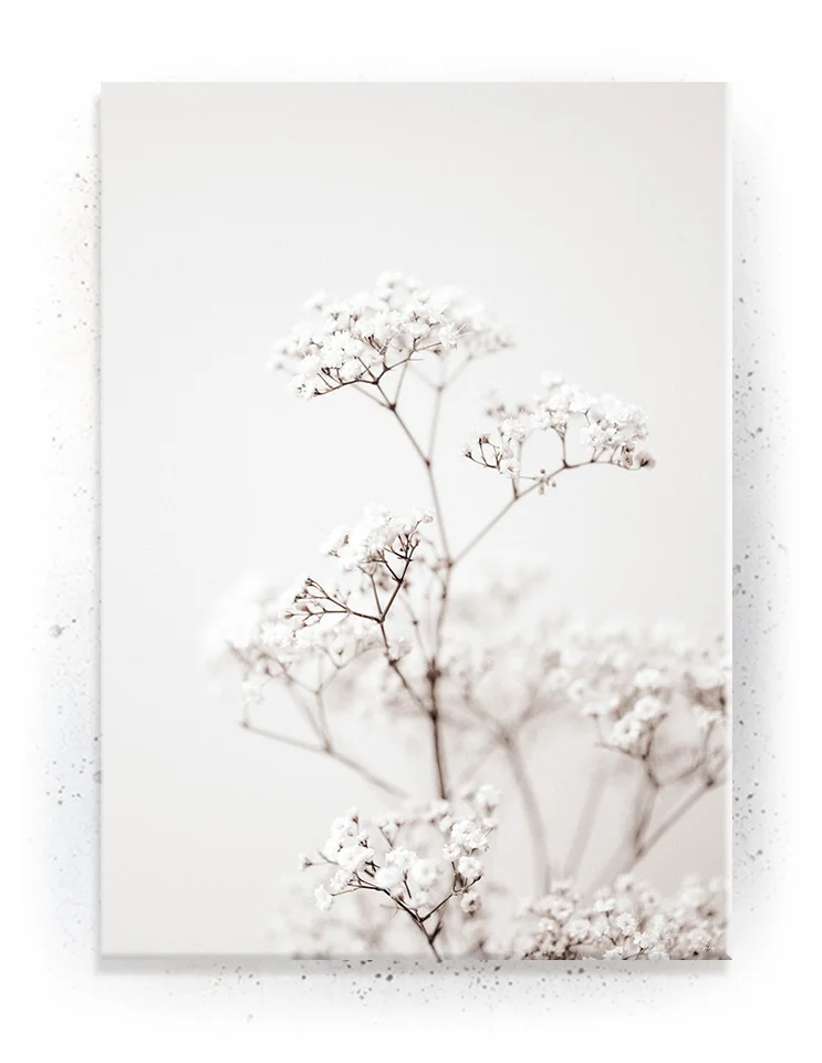 Plakat / lærredsprint - Smukke naturlige plakater