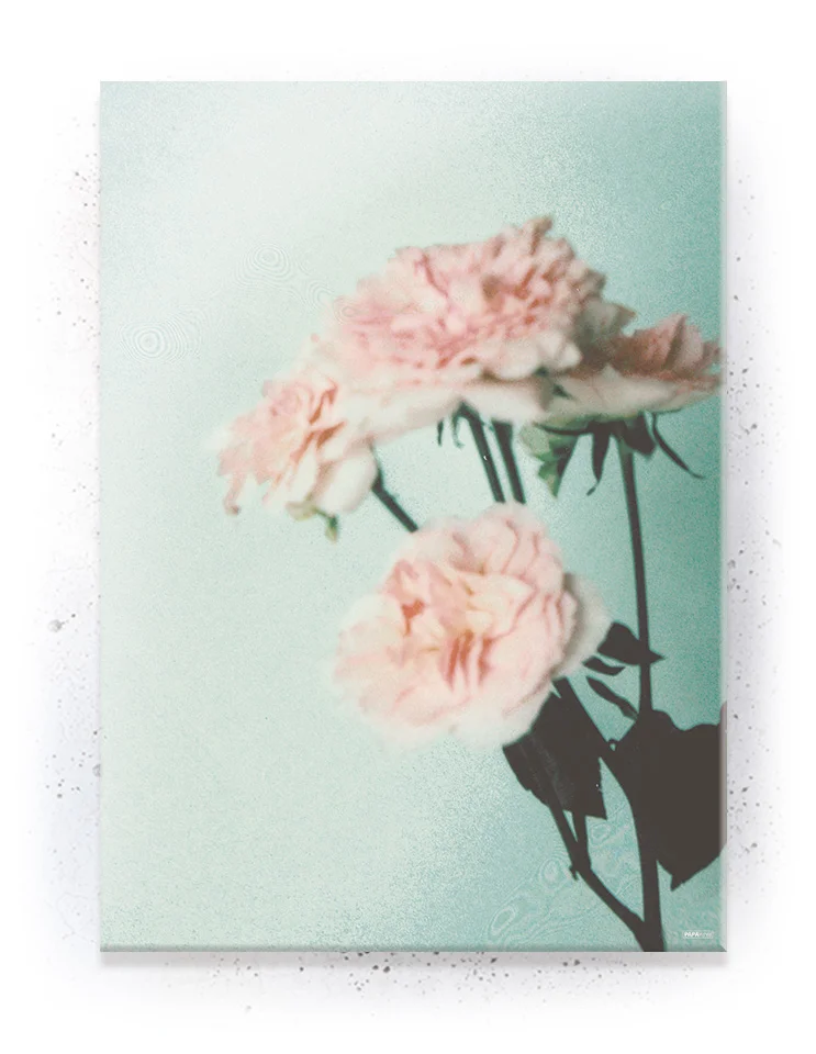 Plakat / lærredsprint - Smukke feminine plakater