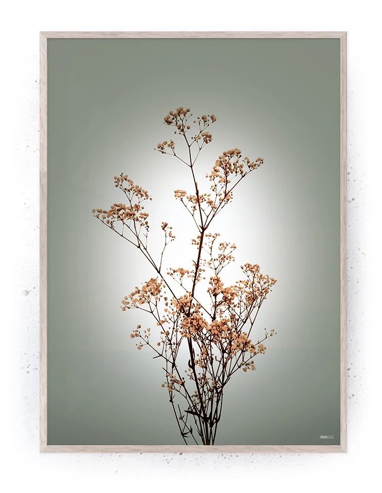 Plakat / lærredsprint - Smukke naturlige plakater