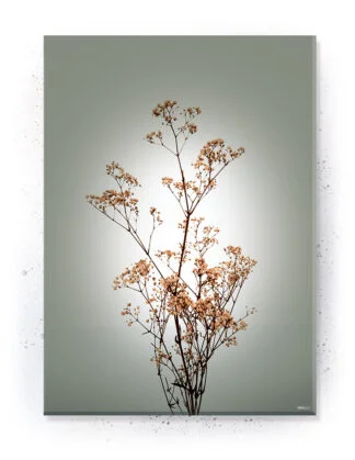 Plakat / lærredsprint - Smukke naturlige plakater