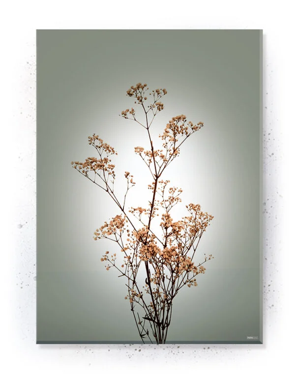 Plakat / lærredsprint - Smukke naturlige plakater