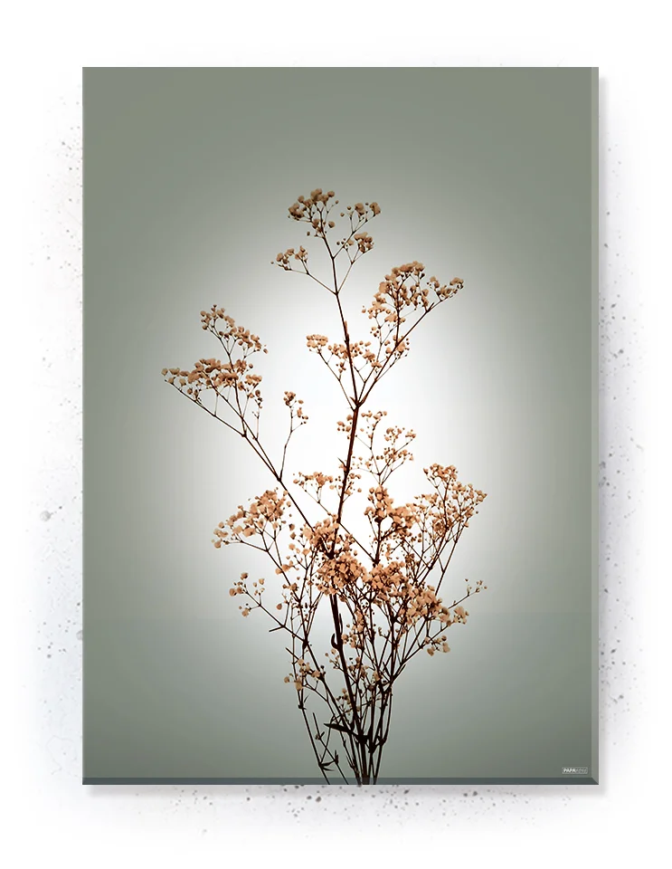 Plakat / lærredsprint - Smukke naturlige plakater