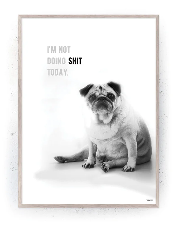 Hund - Plakat / lærredsprint - Sort/hvid