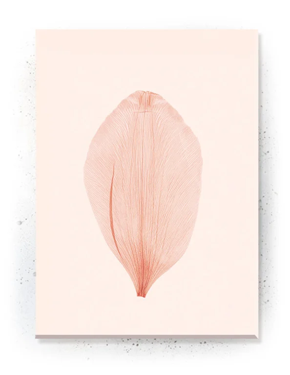 Plakat / lærredsprint - Smukke naturlige plakater