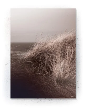 Plakat / lærredsprint - Nedtonede naturlige farver