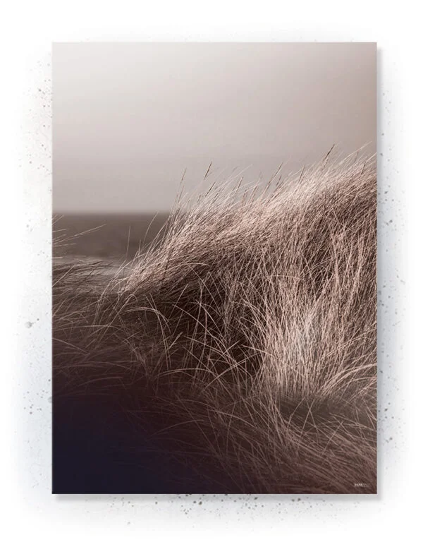 Plakat / lærredsprint - Nedtonede naturlige farver