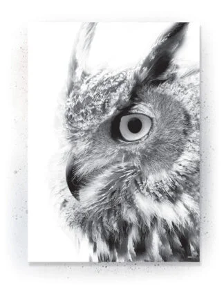 Animals - Plakat / lærredsprint - Flotte artworks i sort/hvid