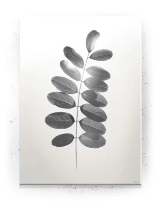 Plakat / lærredsprint - Nedtonede naturlige farver