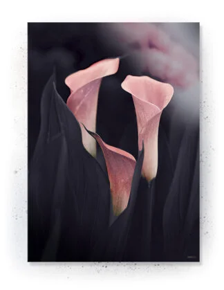 Plakat / lærredsprint i rosa og mørkeblå farver