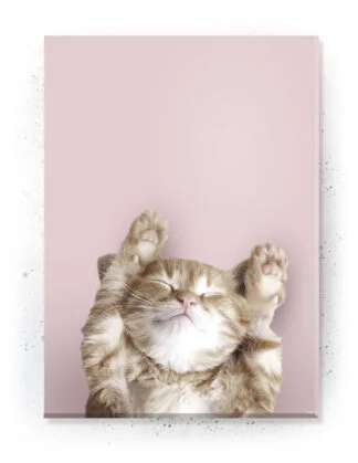 Plakat / Lærredsprint med søde dyremotiver