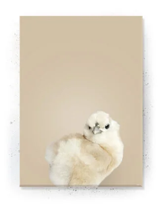 Plakat / Lærredsprint med søde dyremotiver