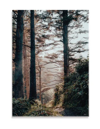 Plakat / lærredsprint - Nedtonede naturlige farver