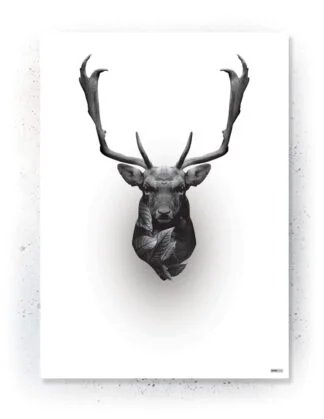 Animals - Plakat / lærredsprint - Flotte artworks i sort/hvid