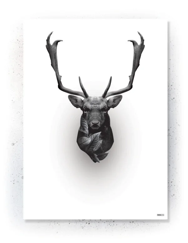 Animals - Plakat / lærredsprint - Flotte artworks i sort/hvid