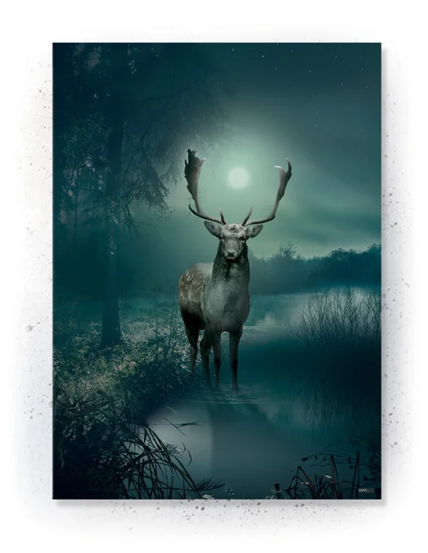 Plakat / lærredsprint - Flotte naturlige farver og motiver fra naturen