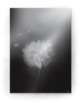 Plakat / lærredsprint - Flotte artworks i sort/hvid